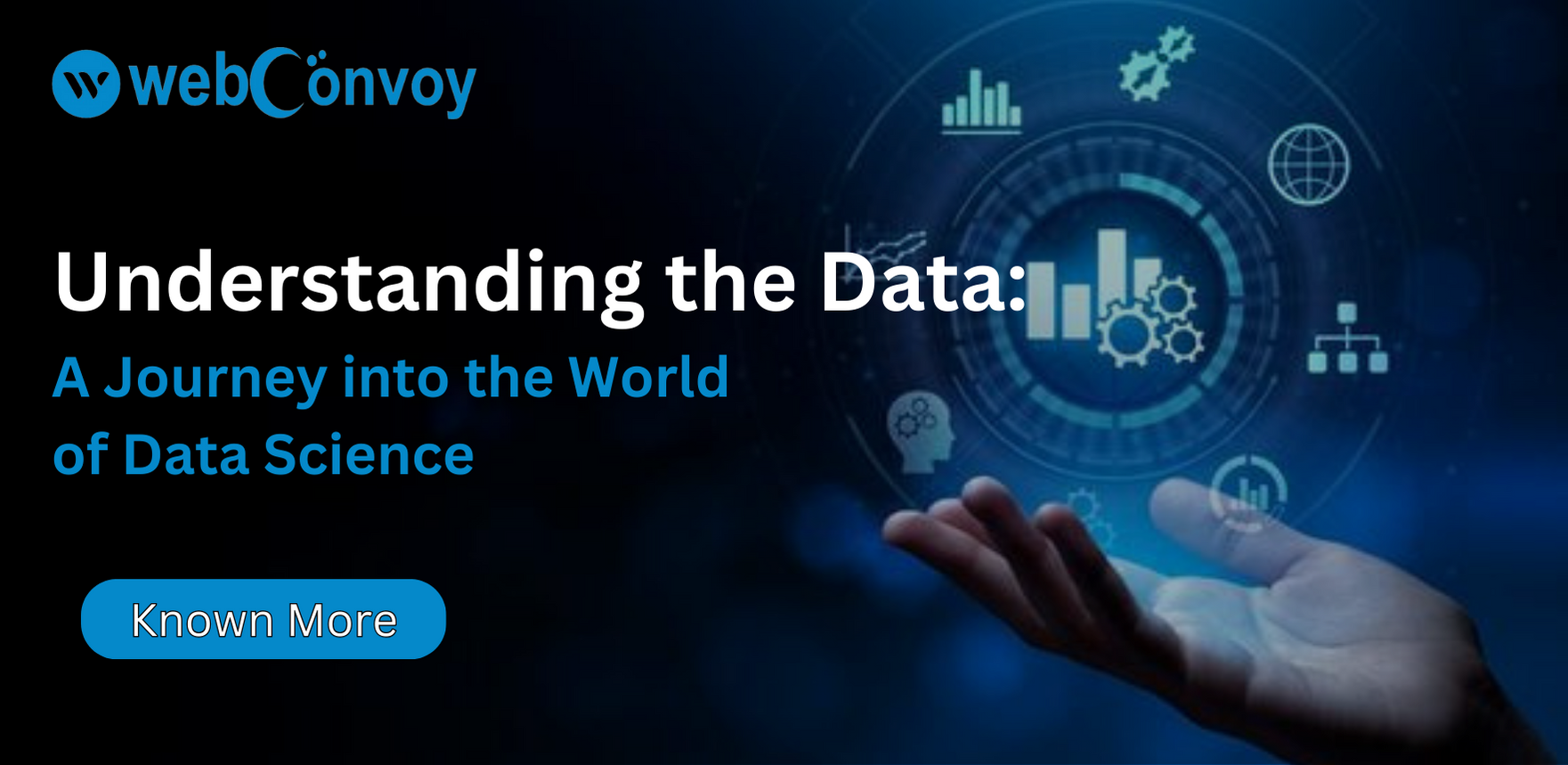 Understanding the Data: A Journey into the World of Data Science