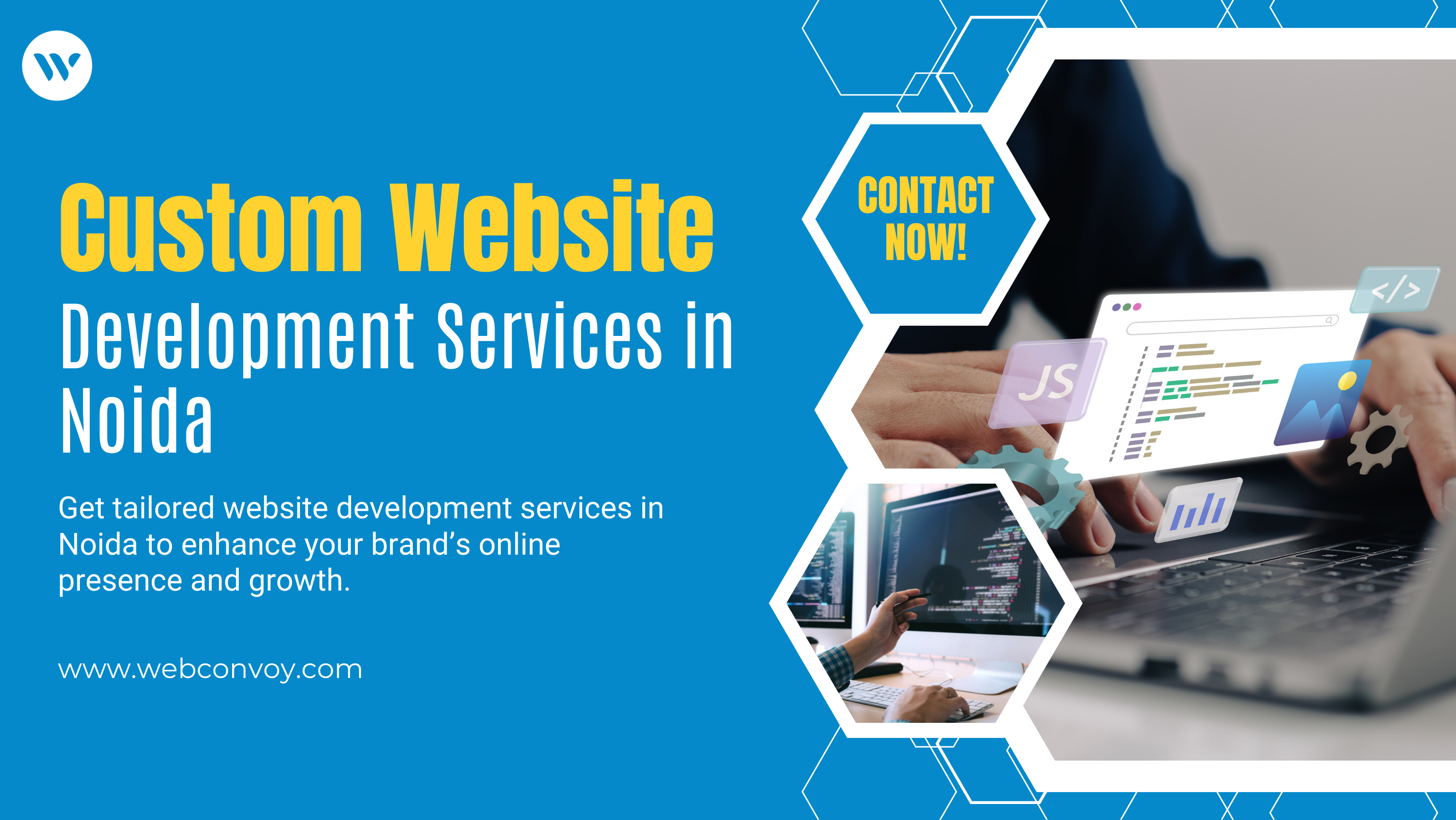 Custom Website Development Services in Noida
